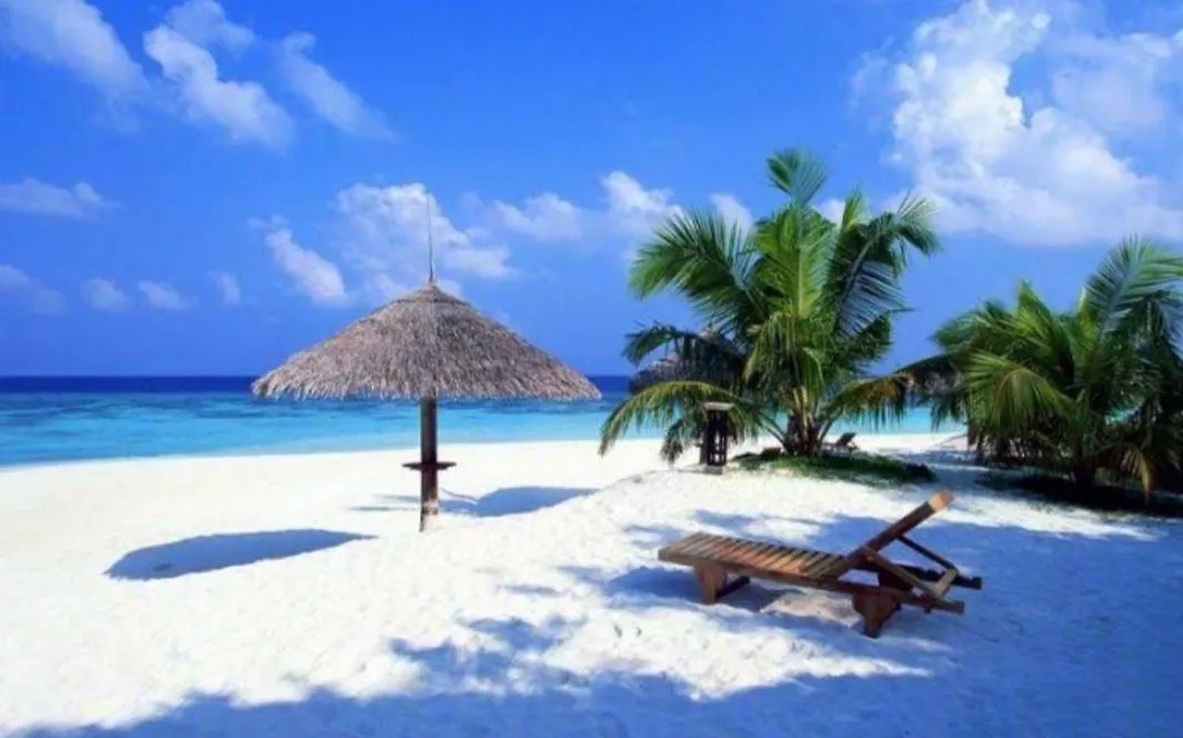 Caribbean Oasis Apartamento Playa del Carmen México